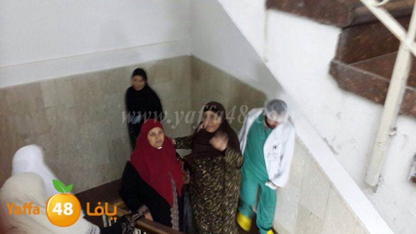 maqased bayareq (21).JPG